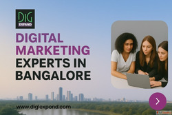 Digital Marketing Experts in Bangalore Digiexpand