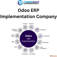 Best Odoo ERP implementation company
