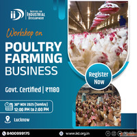 Beginner's Poultry Farming Project Report Business Plan