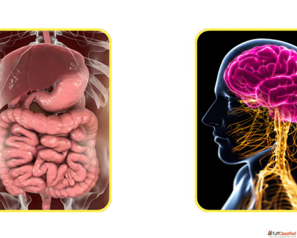 Moringa Magic Supplements - health