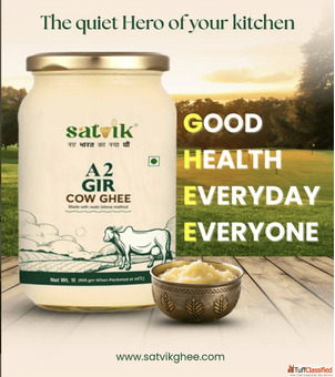 Buy Pure A2 Bilona Gir Cow Ghee Online Satvik Ghee