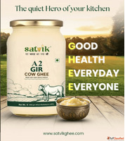 Buy Pure A2 Bilona Gir Cow Ghee Online Satvik Ghee