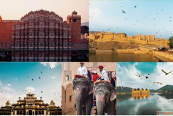 Jaipur One Day Tour Package