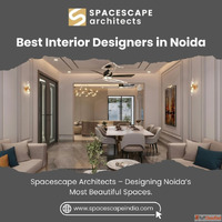 Best Interior Designers in Noida