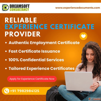 Best Genuine Experience Certificate Support Team in Mumbai