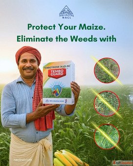 Tembo Guard - Best Herbicides for Farming in Maize NACL Industries