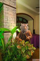 Event Management Companies in Bengaluru