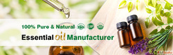 Premium Essential Oil Wholesale Supplier Pure Bulk Essential...