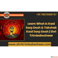 Learn What Is Kaal Sarp Dosh Takshak Kaal Sarp Dosh Shri Tri...