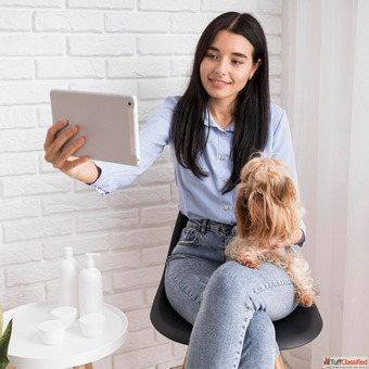 Online Vet Consultation - Expert Pet Care Just a Call Away