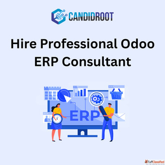 Hire Professional Odoo ERP Consultant