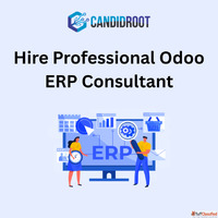Hire Professional Odoo ERP Consultant