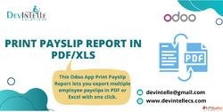 Print Payslip Report in PDFXLS