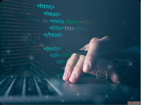 Custom Software Development Services