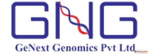 Therapeutic Antibody - Precision Medicine Advanced Treatment Solutions