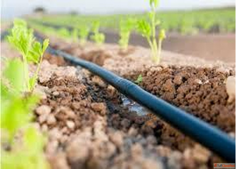 drip irrigation system
