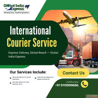 Global India Express International Courier Services in Delhi