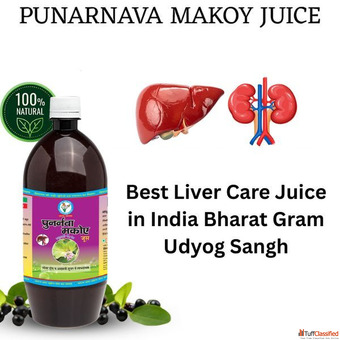Best Liver Care Juice in India Bharat Gram Udyog Sangh