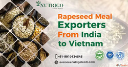 Reliable Rapeseed Meal Exporters from India for Bulk Interna...