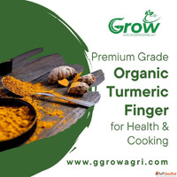 Premium Grade Organic Turmeric Finger for Health Cooking