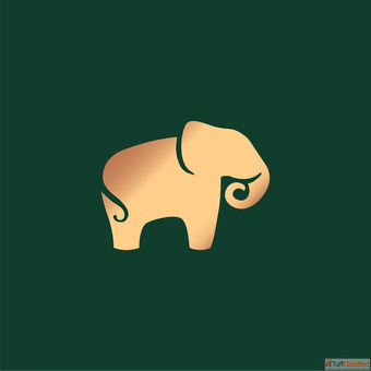 Premium Indian Designer Dresses for Every Occasion Anita Dongre