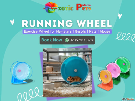 Qpets Hamster Wheel - Rabbit Small Pet Running Wheel