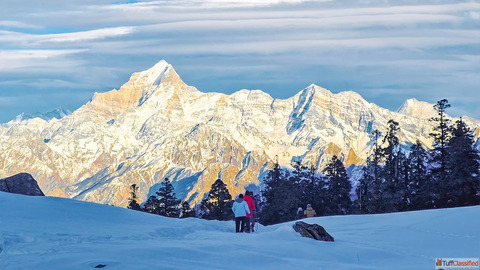 Kuari Pass Winter Trek Complete Guide