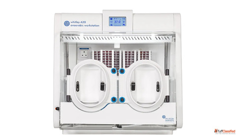 Buy Anaerobic Workstation Deals by Lab Technologies