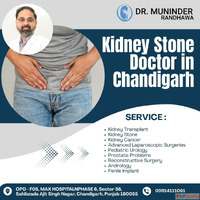 Kidney Stone Specialist in Chandigarh