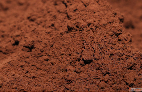Best Cocoa Powder suppliers in Karnataka