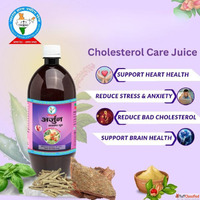 Bharat Gram Udyog Sangh Cholesterol Care Juice
