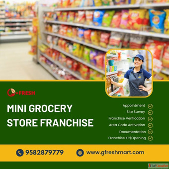 In What Ways will the Mini Grocery Store Franchise Facilitate the Growth of Multiple Stores