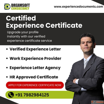 Best-Rated Experience Certificate Assistance in Ludhiana