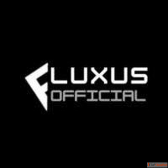 Fluxus executor pc