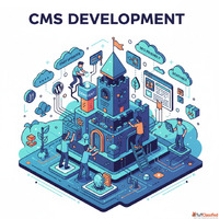 Do you need fast and secure CMS Development for your online ...