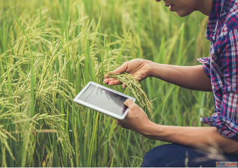 Build Your Career with a Comprehensive B.Sc Agriculture Degree