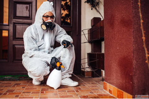 Contact best Pest Control Service in Rohini