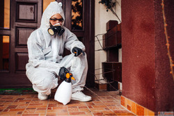 Contact best Pest Control Service in Rohini