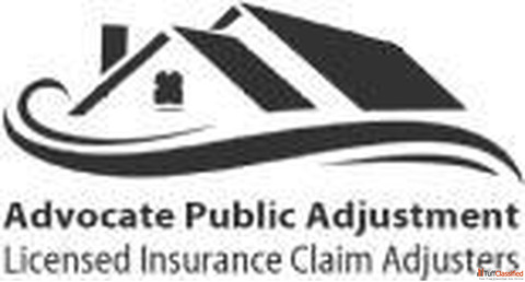 Settling damage through Vehicle Property Damage Insurance Adjuster