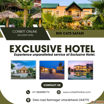 A First-Timer's Guide to Spotting Wildlife in Jim Corbett National Park