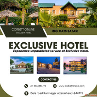 A First-Timer's Guide to Spotting Wildlife in Jim Corbe...