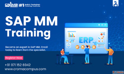 SAP MM Training in Pune Croma Campus