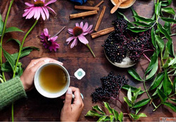 Herbal Tea Company for Pure and Healthy Blends