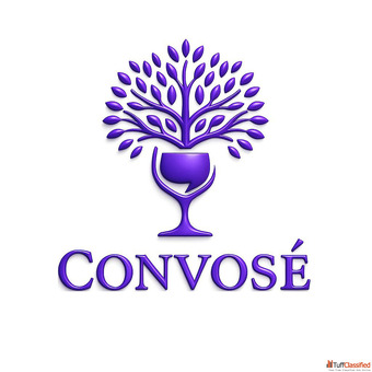 Best Cafe in Gurgaon - Find Your Perfect Hangout at Convose