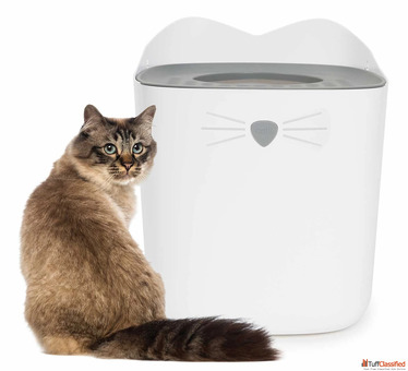Catit PIXI Top Entry Cat Litter Box Best Cat Litter Solution