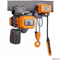 2 ton Electric Chain Hoist Sold To Argentina