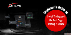 Beginner's Guide to Social Trading and the Best Copy Tr...
