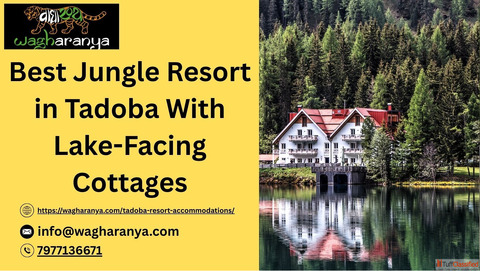 Best Jungle Resort in Tadoba With Lake-Facing Cottages