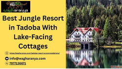 Best Jungle Resort in Tadoba With Lake-Facing Cottages