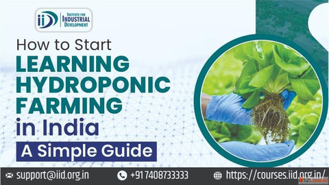 Complete Hydroponic Farming Course for Beginners